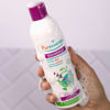 Anti-Lice  Daily Shampoo