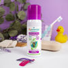 Anti-Lice Repellent Spray